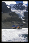 Любители приключений могут покататься по Columbia Icefield на таком вот автобусе.